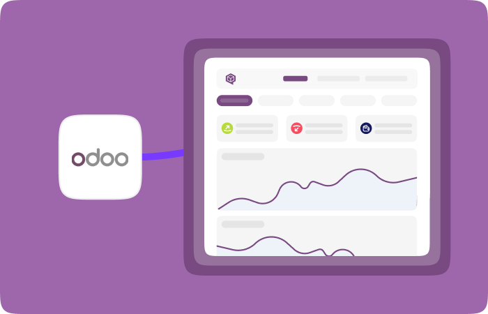 odoo muhasebe yonetimi